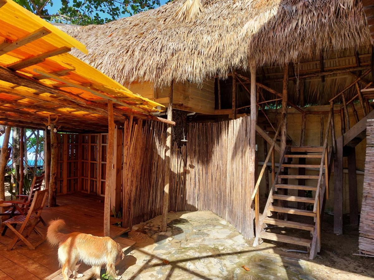 Cabarete Maravilla Eco Lodge Boutique Beach Surf Encuentro, Kite, By Aa Crypto Group Zewnętrze zdjęcie