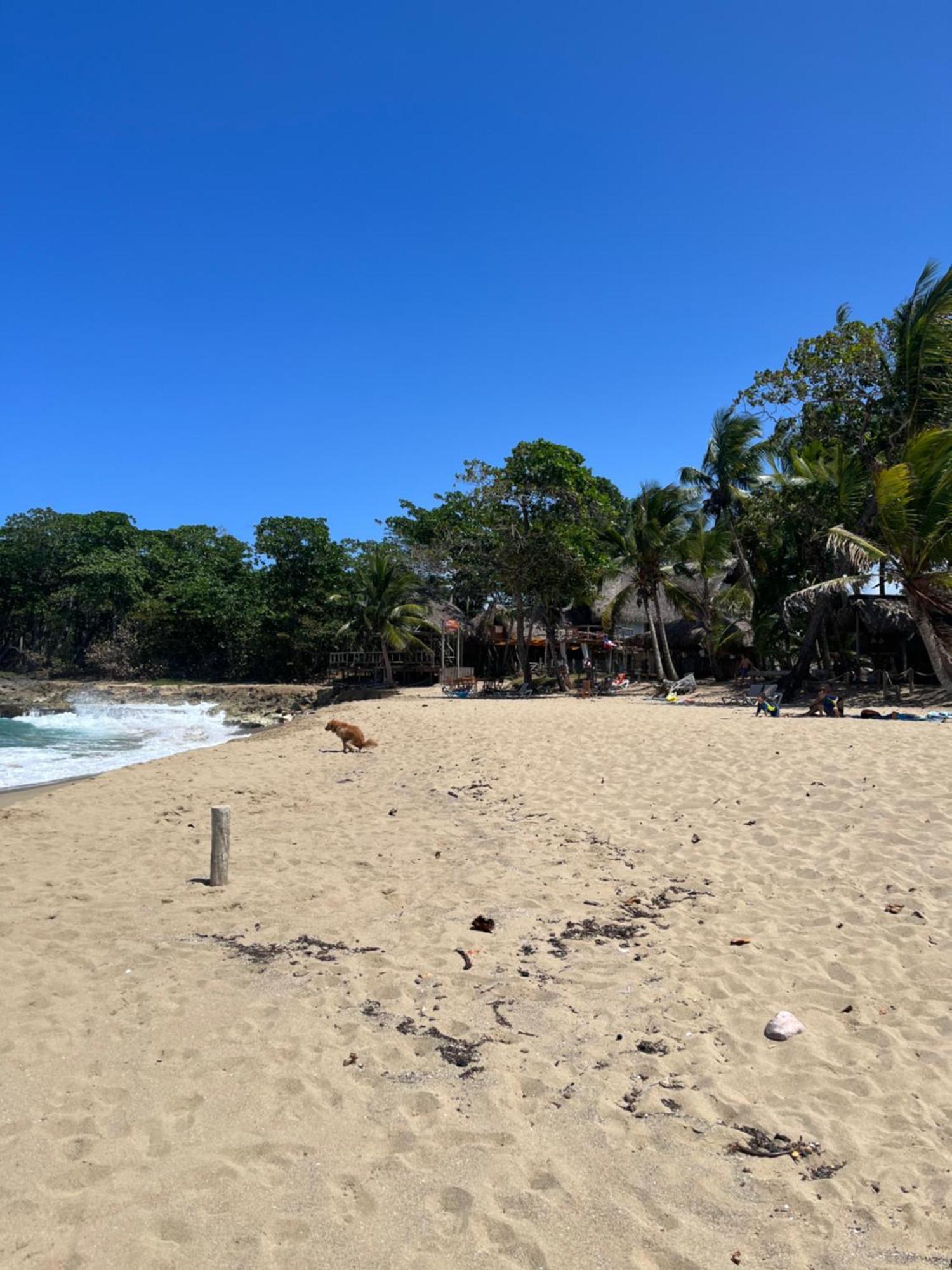 Cabarete Maravilla Eco Lodge Boutique Beach Surf Encuentro, Kite, By Aa Crypto Group Zewnętrze zdjęcie