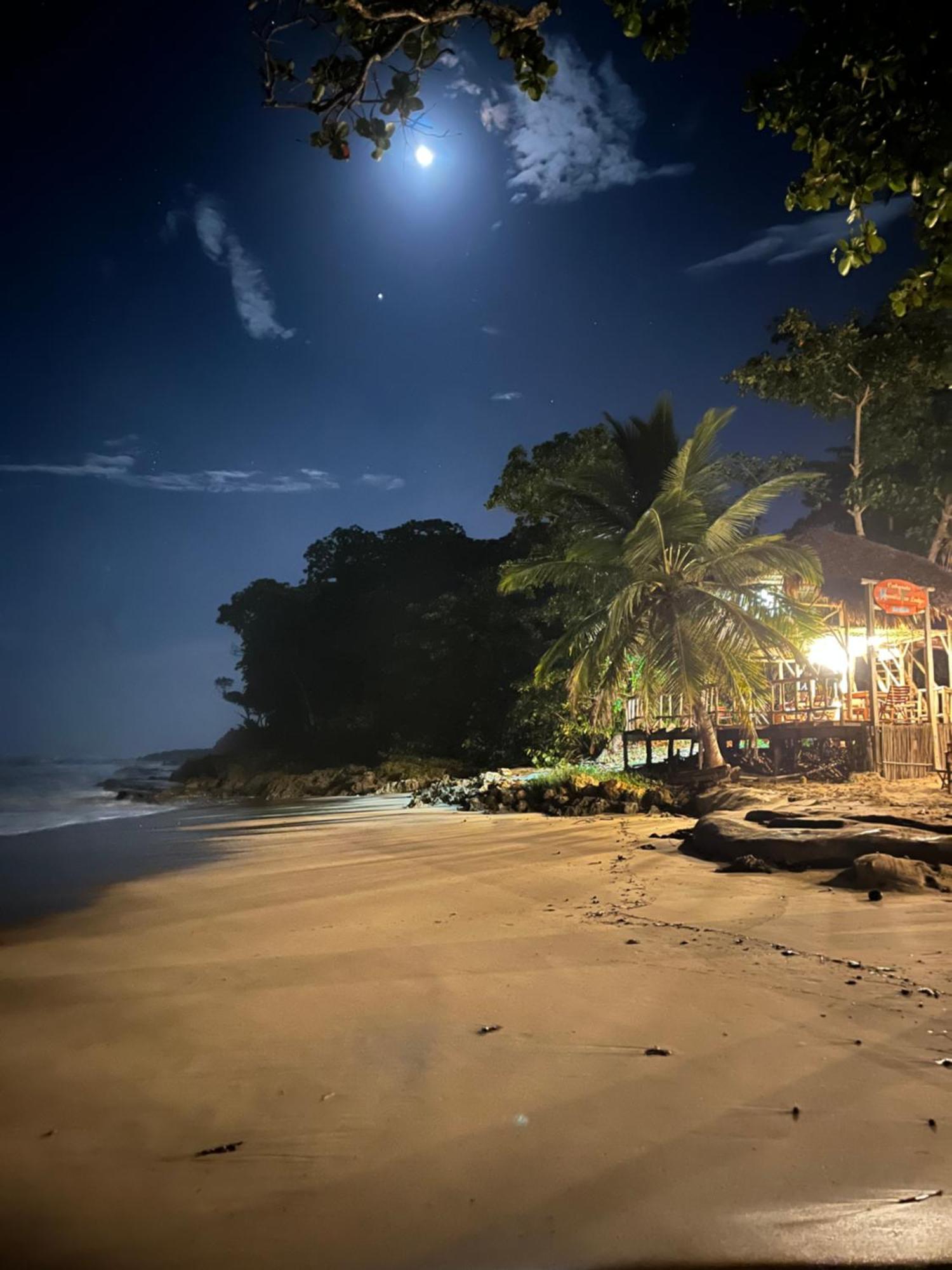Cabarete Maravilla Eco Lodge Boutique Beach Surf Encuentro, Kite, By Aa Crypto Group Zewnętrze zdjęcie