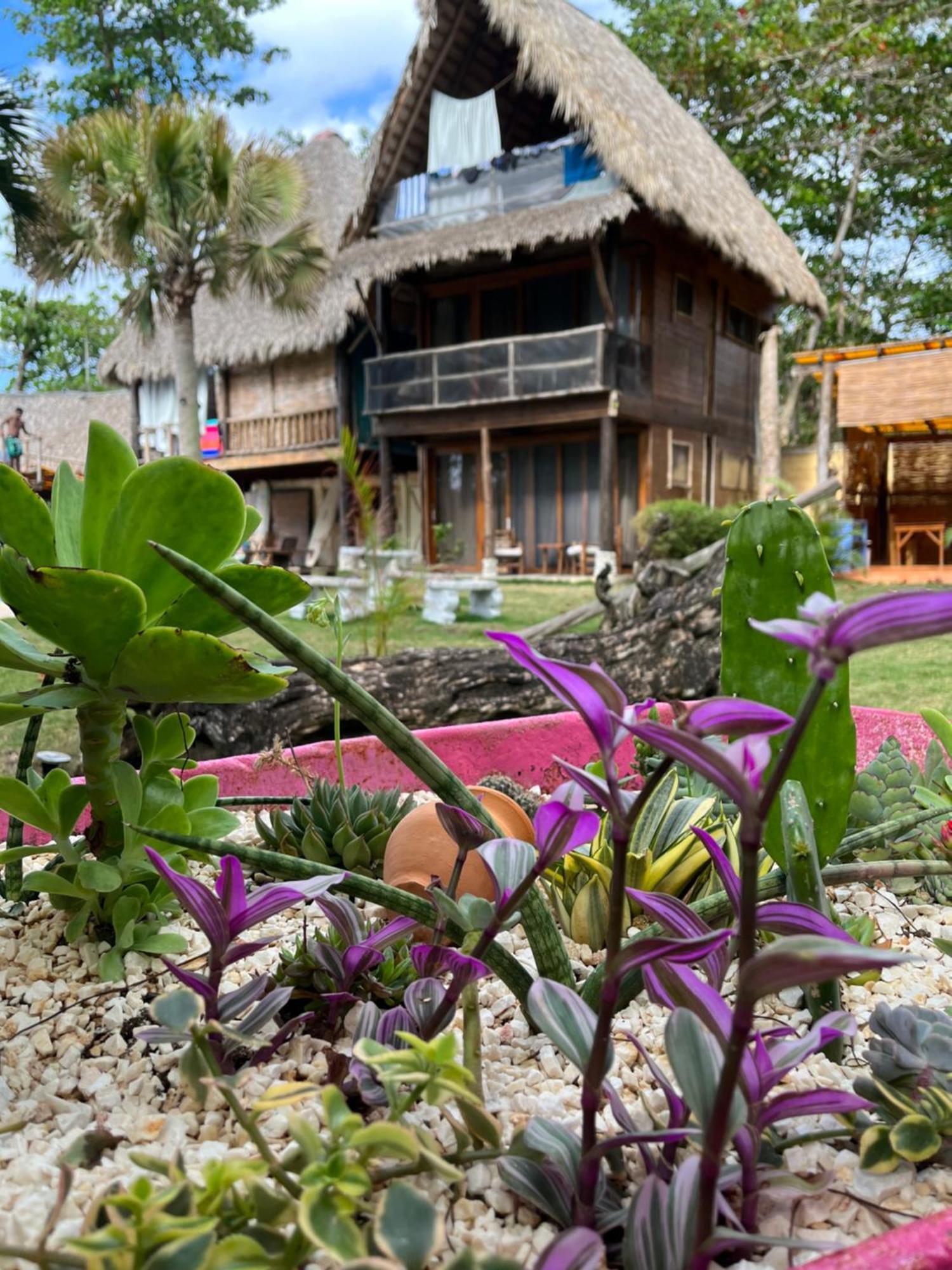 Cabarete Maravilla Eco Lodge Boutique Beach Surf Encuentro, Kite, By Aa Crypto Group Zewnętrze zdjęcie